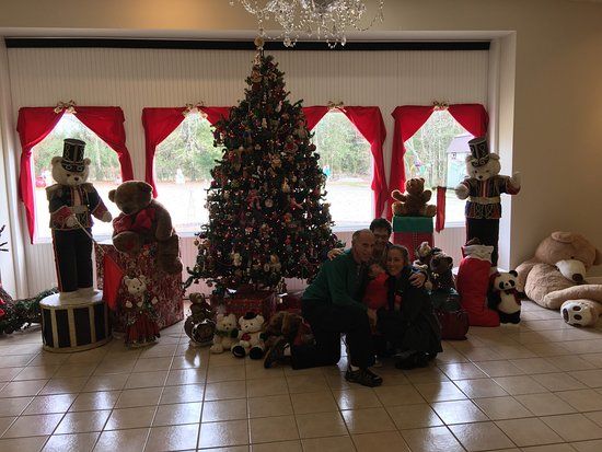 The Teddy Bear House Museum